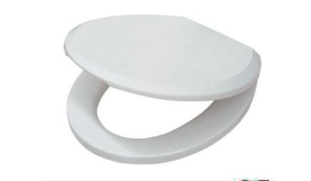 ASSENTO SANITARIO DE PLASTICO, TIPO CONVENCIONAL