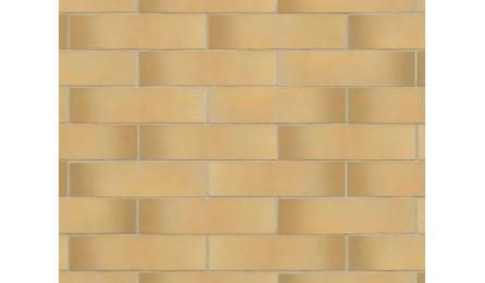 Foto do insumo SINAPI 44955 — REVESTIMENTO EM CERAMICA ESMALTADA PARA FACHADAS, PECAS NO FORMATO APROX. *7 X 2