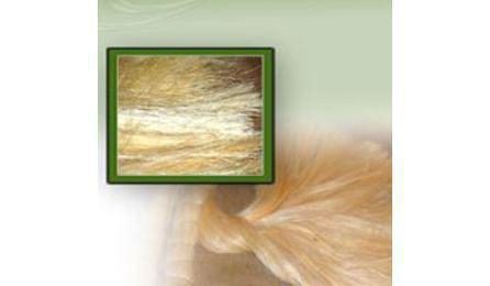 Foto do insumo SINAPI 20250 — SISAL EM FIBRA / ESTOPA SISAL PARA GESSO