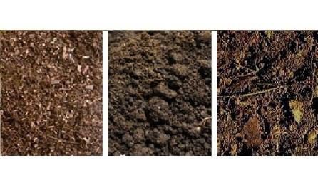 Foto do insumo SINAPI 7253 — TERRA VEGETAL (GRANEL)